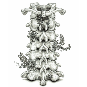 监控偷拍家庭性爱视频
